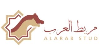 Partner Logo 7